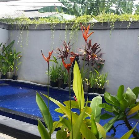 Star Bali Guest House Canggu  Bagian luar foto